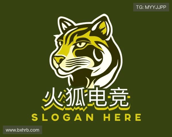 认识&#x706b;&#x72d0;&#x7535;&#x7ade;